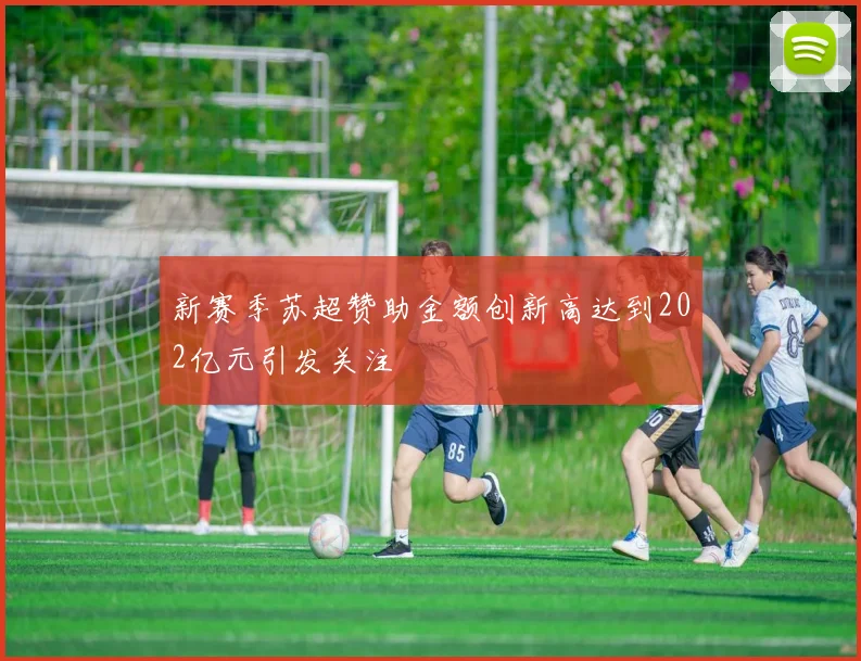新赛季苏超赞助金额创新高达到202亿元引发关注